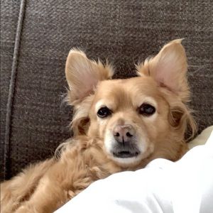 Meet your Posher, Christopher